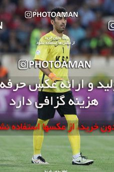 622666, Tehran, Iran, لیگ برتر فوتبال ایران، Persian Gulf Cup، Week 2، First Leg، Persepolis 1 v 1 Foulad Khouzestan on 2016/08/01 at Azadi Stadium