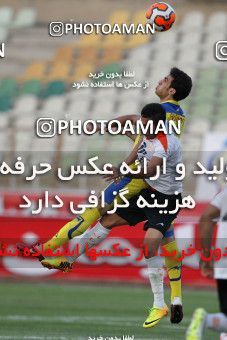 682957, Tehran, [*parameter:4*], لیگ برتر فوتبال ایران، Persian Gulf Cup، Week 8، First Leg، Naft Tehran 1 v 0 Mes Kerman on 2013/09/05 at Takhti Stadium
