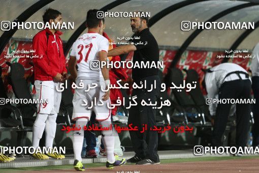 690792, Tehran, , جام حذفی فوتبال ایران, 1/16 stage, , Persepolis 5 v 1 Padideh Mashhad on 2013/10/23 at Azadi Stadium