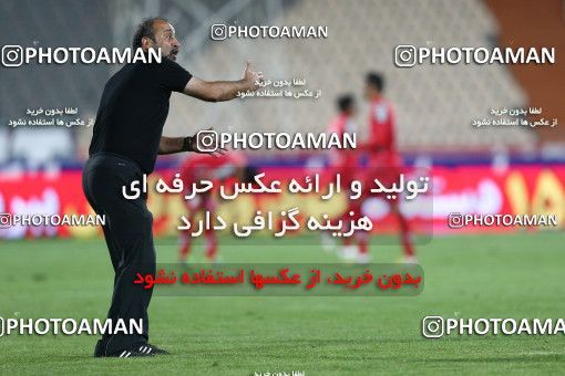 690828, Tehran, , جام حذفی فوتبال ایران, 1/16 stage, , Persepolis 5 v 1 Padideh Mashhad on 2013/10/23 at Azadi Stadium