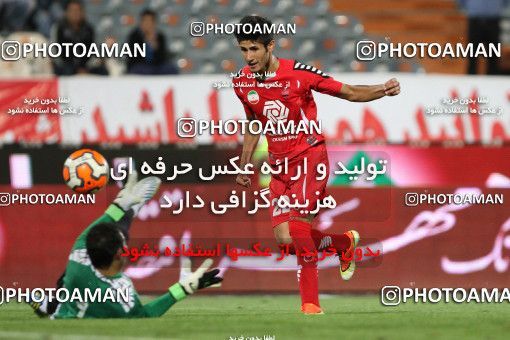 691105, Tehran, , جام حذفی فوتبال ایران, 1/16 stage, , Persepolis 5 v 1 Padideh Mashhad on 2013/10/23 at Azadi Stadium