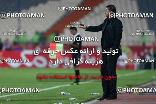 691600, Tehran, , جام حذفی فوتبال ایران, Eighth final, , Persepolis 2 v 0  on 2013/11/01 at Azadi Stadium