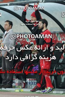 691824, Tehran, , جام حذفی فوتبال ایران, Eighth final, , Persepolis 2 v 0  on 2013/11/01 at Azadi Stadium