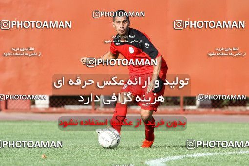 697843, جلسه تمرینی تیم فوتبال پرسپولیس، 1392/03/25، ، تهران، ورزشگاه شهید درفشی فر