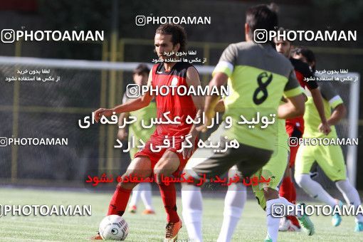 699780, Tehran, , Friendly logistics match، Persepolis 1 - 0 Tractor Sazi on 2013/07/03 at Derafshifar Stadium