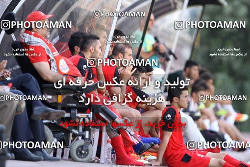 699781, Tehran, , Friendly logistics match، Persepolis 1 - 0 Tractor Sazi on 2013/07/03 at Derafshifar Stadium