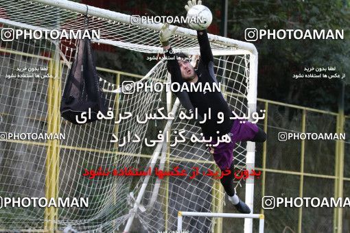 700395, جلسه تمرینی تیم فوتبال پرسپولیس، 1392/04/18، ، تهران، ورزشگاه شهید درفشی فر