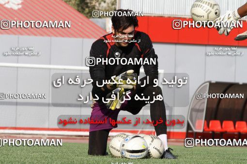 700452, جلسه تمرینی تیم فوتبال پرسپولیس، 1392/04/18، ، تهران، ورزشگاه شهید درفشی فر