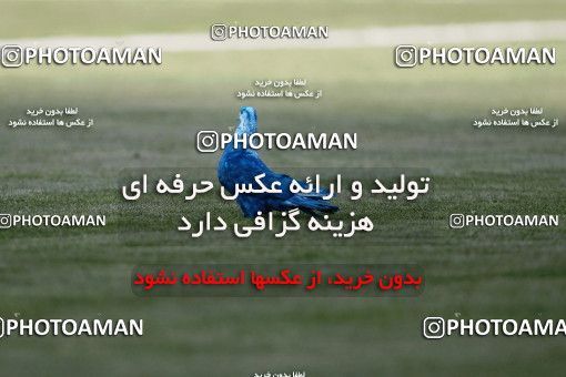 700150, Tehran, [*parameter:4*], لیگ برتر فوتبال ایران، Persian Gulf Cup، Week 6، First Leg، Persepolis 0 v 0 Esteghlal on 2012/08/24 at Azadi Stadium