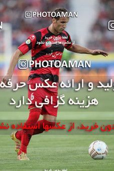 700315, Tehran, [*parameter:4*], لیگ برتر فوتبال ایران، Persian Gulf Cup، Week 6، First Leg، Persepolis 0 v 0 Esteghlal on 2012/08/24 at Azadi Stadium