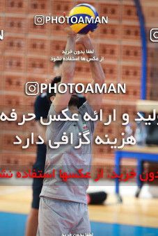 711286, جلسه تمرینی تیم ملی والیبال ایران، 1396/02/19، ، بودوا، سالن ورزشی مدیسین