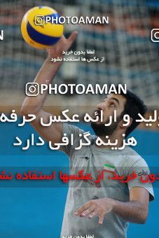 711298, جلسه تمرینی تیم ملی والیبال ایران، 1396/02/19، ، بودوا، سالن ورزشی مدیسین