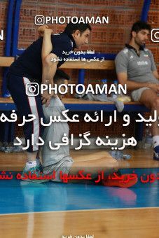 711241, جلسه تمرینی تیم ملی والیبال ایران، 1396/02/19، ، بودوا، سالن ورزشی مدیسین