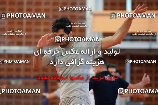 712712, جلسه تمرینی تیم ملی والیبال ایران، 1396/02/22، ، ماریبور، سالن هاباکوک