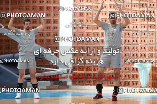 712744, جلسه تمرینی تیم ملی والیبال ایران، 1396/02/22، ، ماریبور، سالن هاباکوک