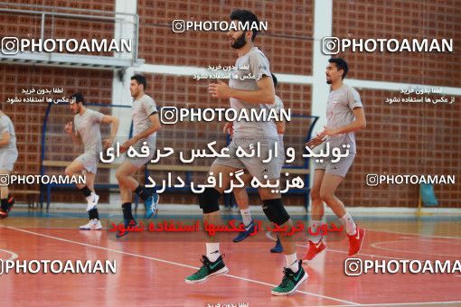 712829, جلسه تمرینی تیم ملی والیبال ایران، 1396/02/22، ، ماریبور، سالن هاباکوک