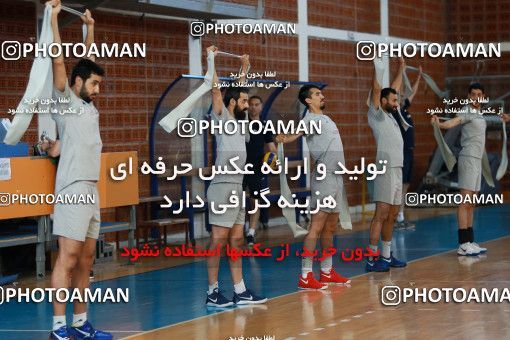 712740, جلسه تمرینی تیم ملی والیبال ایران، 1396/02/22، ، ماریبور، سالن هاباکوک