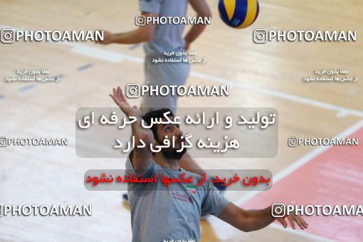 712868, جلسه تمرینی تیم ملی والیبال ایران، 1396/02/22، ، ماریبور، سالن هاباکوک