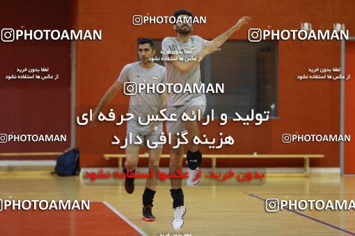 712552, جلسه تمرینی تیم ملی والیبال ایران، 1396/02/24، ، ماریبور، سالن هاباکوک