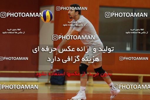 712633, جلسه تمرینی تیم ملی والیبال ایران، 1396/02/24، ، ماریبور، سالن هاباکوک