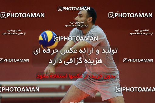 712636, جلسه تمرینی تیم ملی والیبال ایران، 1396/02/24، ، ماریبور، سالن هاباکوک