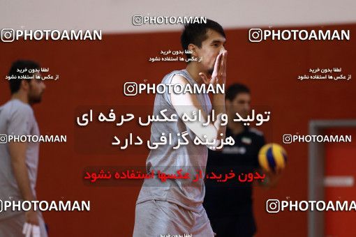 712564, جلسه تمرینی تیم ملی والیبال ایران، 1396/02/24، ، ماریبور، سالن هاباکوک
