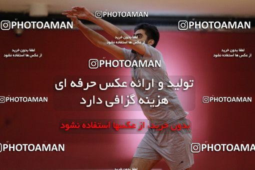 712615, جلسه تمرینی تیم ملی والیبال ایران، 1396/02/24، ، ماریبور، سالن هاباکوک