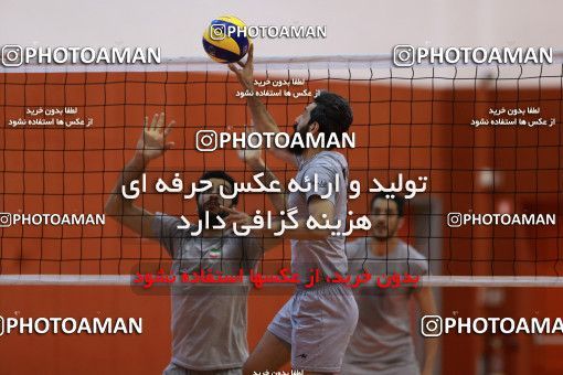 712612, جلسه تمرینی تیم ملی والیبال ایران، 1396/02/24، ، ماریبور، سالن هاباکوک