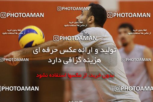 712142, جلسه تمرینی تیم ملی والیبال ایران، 1396/02/27، ، ماریبور، سالن هاباکوک