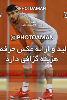 712176, جلسه تمرینی تیم ملی والیبال ایران، 1396/02/27، ، ماریبور، سالن هاباکوک