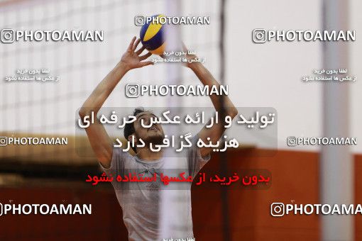 712209, جلسه تمرینی تیم ملی والیبال ایران، 1396/02/27، ، ماریبور، سالن هاباکوک