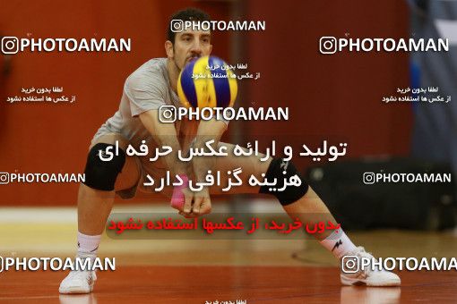 712212, جلسه تمرینی تیم ملی والیبال ایران، 1396/02/27، ، ماریبور، سالن هاباکوک