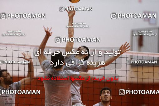712168, جلسه تمرینی تیم ملی والیبال ایران، 1396/02/27، ، ماریبور، سالن هاباکوک