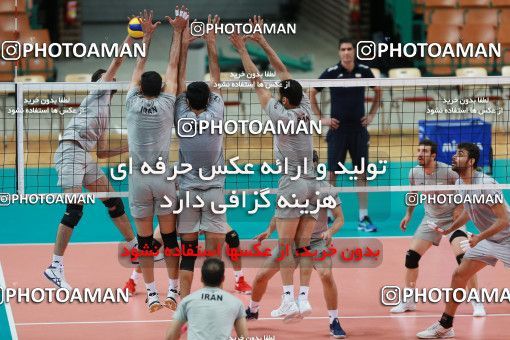 713357, جلسه تمرینی تیم ملی والیبال ایران، 1396/02/29، ، کاتوویچ، سالن اسپودک