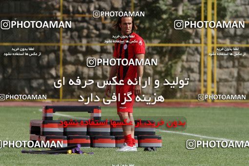 723767, Tehran, , Persepolis Football Team Training Session on 2012/06/24 at Derafshifar Stadium