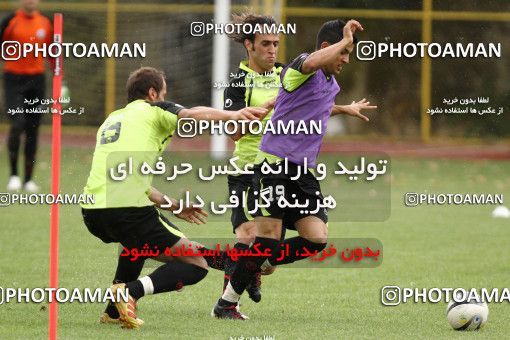721504, Tehran, , Persepolis Football Team Training Session on 2012/07/16 at Derafshifar Stadium