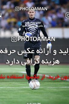 729665, Tehran, [*parameter:4*], لیگ برتر فوتبال ایران، Persian Gulf Cup، Week 5، First Leg، Esteghlal 1 v 1 Malvan Bandar Anzali on 2012/08/19 at Azadi Stadium