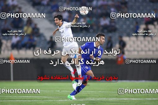 729716, Tehran, [*parameter:4*], لیگ برتر فوتبال ایران، Persian Gulf Cup، Week 5، First Leg، Esteghlal 1 v 1 Malvan Bandar Anzali on 2012/08/19 at Azadi Stadium