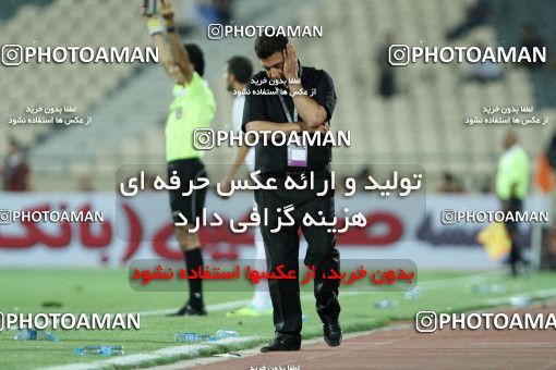 729601, Tehran, [*parameter:4*], لیگ برتر فوتبال ایران، Persian Gulf Cup، Week 5، First Leg، Esteghlal 1 v 1 Malvan Bandar Anzali on 2012/08/19 at Azadi Stadium