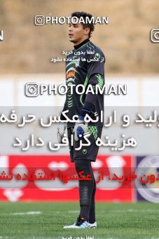 730764, Tehran, [*parameter:4*], لیگ برتر فوتبال ایران، Persian Gulf Cup، Week 8، First Leg، Paykan 2 v 1 Aluminium Hormozgan on 2012/09/14 at Takhti Stadium