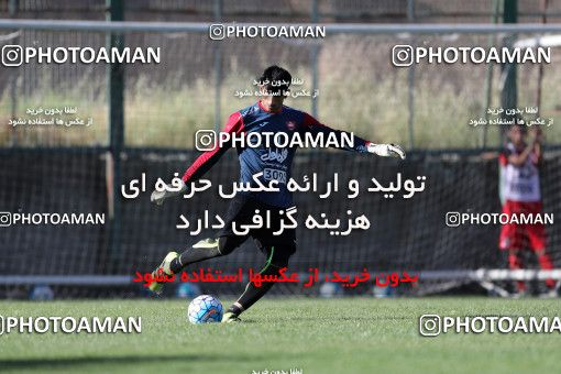 734427, جلسه تمرینی تیم فوتبال پرسپولیس، 1396/03/05، ، تهران، ورزشگاه خیریه عمل