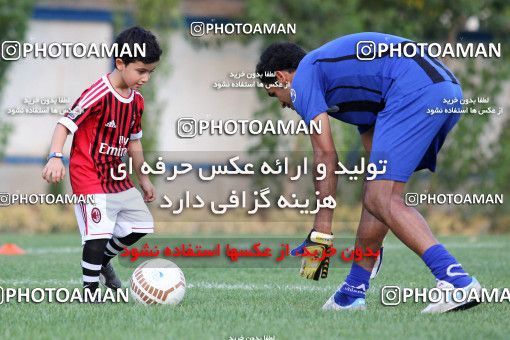 736786, Tehran, , Esteghlal Football Team Training Session on 2012/08/02 at Naser Hejazi Sport Complex