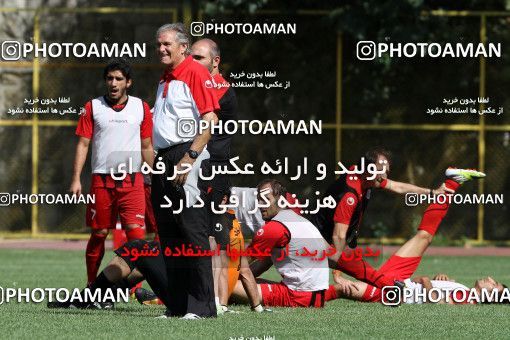 737152, Tehran, , Persepolis Football Team Training Session on 2012/08/22 at Naser Hejazi Sport Complex