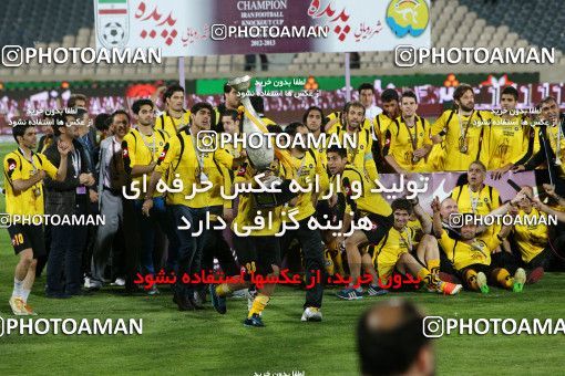 746098, Tehran, , Final جام حذفی فوتبال ایران, , Persepolis 2 v 2 Sepahan on 2013/05/05 at Azadi Stadium