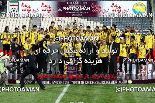 746283, Tehran, , Final جام حذفی فوتبال ایران, , Persepolis 2 v 2 Sepahan on 2013/05/05 at Azadi Stadium