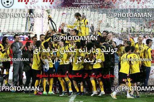 746195, Tehran, , Final جام حذفی فوتبال ایران, , Persepolis 2 v 2 Sepahan on 2013/05/05 at Azadi Stadium