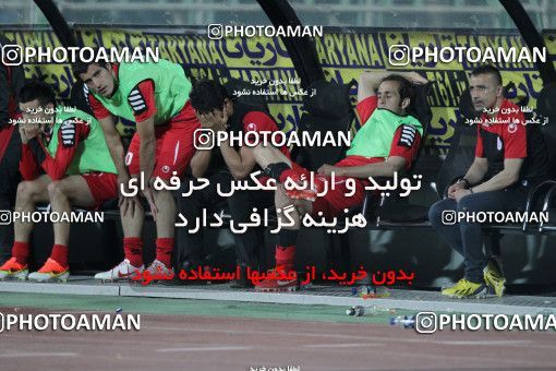 746569, Tehran, , Final جام حذفی فوتبال ایران, , Persepolis 2 v 2 Sepahan on 2013/05/05 at Azadi Stadium