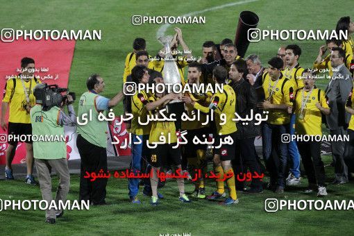 747003, Tehran, , Final جام حذفی فوتبال ایران, , Persepolis 2 v 2 Sepahan on 2013/05/05 at Azadi Stadium