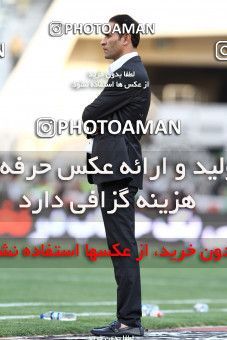 745697, Tehran, , Final جام حذفی فوتبال ایران, , Persepolis 2 v 2 Sepahan on 2013/05/05 at Azadi Stadium