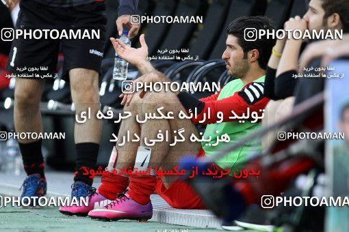 745785, Tehran, , Final جام حذفی فوتبال ایران, , Persepolis 2 v 2 Sepahan on 2013/05/05 at Azadi Stadium